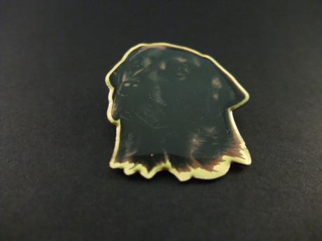 Labrador Retriever ( afstammeling van de St. John's-hond.) rashond